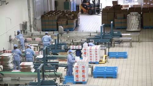 打造一片净土，开足马力保牛奶制品安全供应与劳动保护用品销售