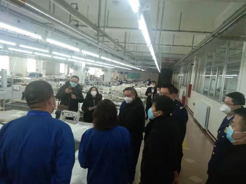 加强安全监管，助力疫情防控——自治区应急管理厅为防护用品生产企业提供专项安全指导服务