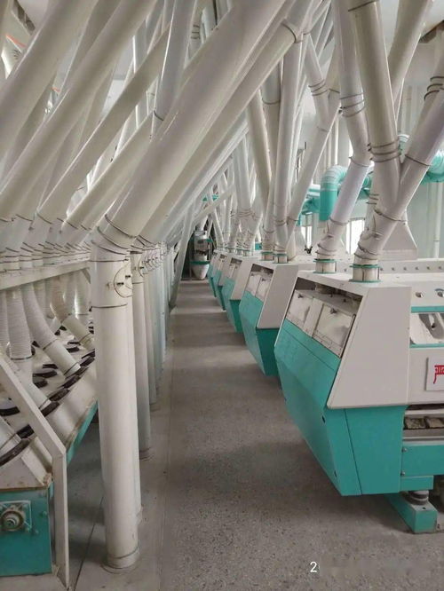 梁山县新丰面粉厂 诚邀全国经销商，共拓劳动保护用品销售新蓝海